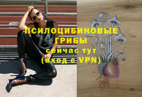 spice Липки