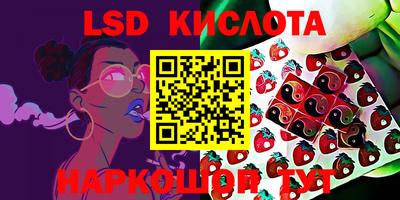 СК Кимры