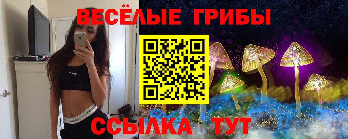 Галлюциногенные грибы прущие грибы  Вход с VPN  купить наркотик  Фрязино 